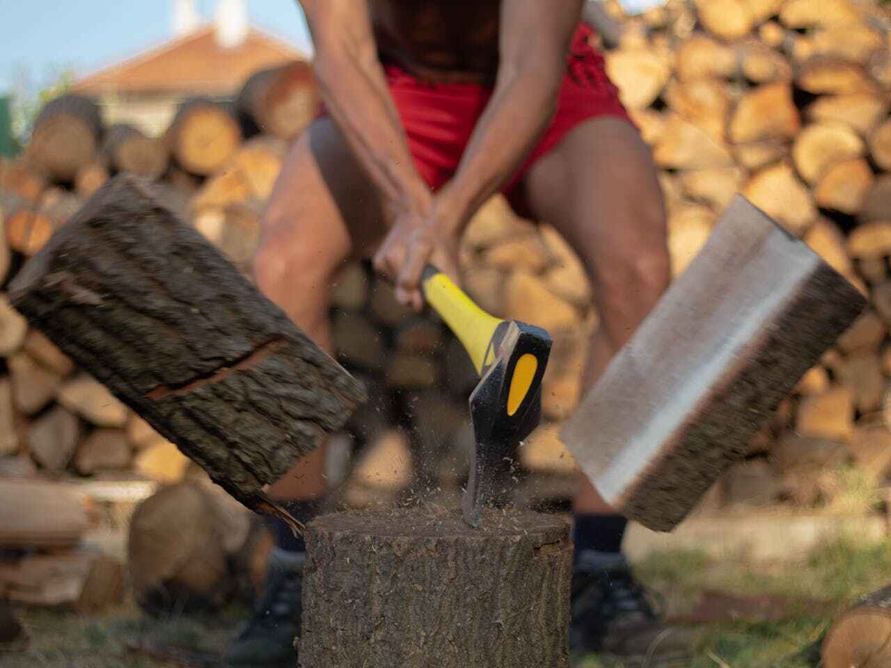 Best Best Tree Removal Services  in USA